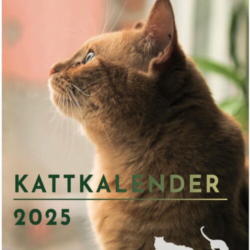 Kalender